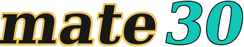 mate30 logo